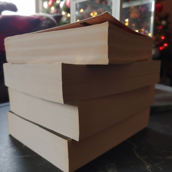 Excellent Used Condition Septimus Heap Paperback 4 Book Set. - Picture 3 of 9